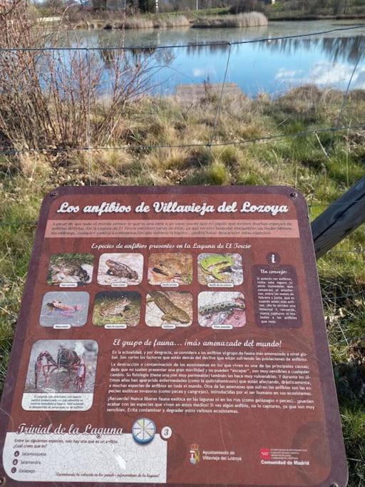 Casita Con Encanto Tranquilidad Villavieja Del Lozoya Wi-Fi En Sierra De Madrid Y A 50 Minutos De Capital Eksteriør bilde